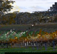 Barossa Valley with Hahndorf Tour from Adelaide - Phillip Island Accommodation