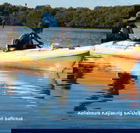 Adelaide Dolphin Sanctuary and Ships Graveyard Kayak Tour - Phillip Island Accommodation