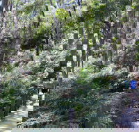 Self-Guided Waterfall Gully to Mount Lofty Hike from Adelaide - Phillip Island Accommodation