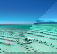 Coffin Bay Private Day Tour from Port Lincoln - A Taste of Coffin Bay - Phillip Island Accommodation