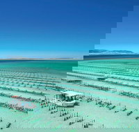 Coffin Bay Day Tour - A Taste of Coffin Bay - Phillip Island Accommodation