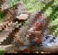 One Day Port Lincoln Tour - Tasting Eyre - Phillip Island Accommodation