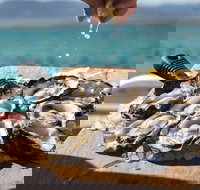 Experience Coffin Bay Short and Sweet Oyster Farm Tour - Phillip Island Accommodation