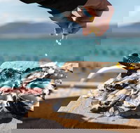 Experience Coffin Bay Oyster Farm and Bay Tour - Phillip Island Accommodation