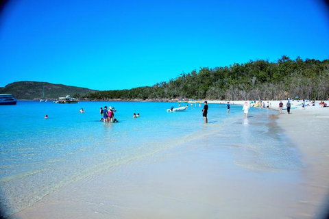 Whitehaven Beach Half-Day Cruises - Phillip Island Accommodation 9
