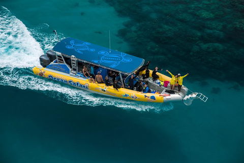 Ocean Safari Great Barrier Reef Experience In Cape Tribulation - Phillip Island Accommodation 1