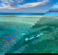 Ocean Safari Great Barrier Reef Experience in Cape Tribulation - Phillip Island Accommodation