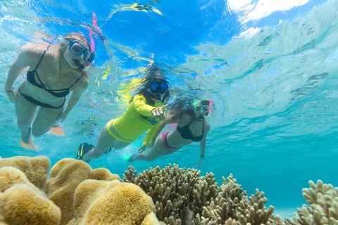 Ocean Safari Great Barrier Reef Experience In Cape Tribulation - Phillip Island Accommodation 4