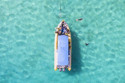 Ocean Safari Great Barrier Reef Experience In Cape Tribulation - Phillip Island Accommodation 17