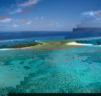 5-Day Fraser Island and Great Barrier Reef Tour - Phillip Island Accommodation