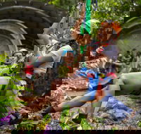 Cape Tribulation Jungle Surfing Canopy Tour - Phillip Island Accommodation