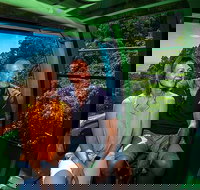 Skyrail Rainforest Cableway Day Trip from Palm Cove - Phillip Island Accommodation