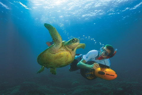 Moreton Island Day Trip From Brisbane - Phillip Island Accommodation 1