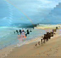 Rainbow Beach Horse Ride - Phillip Island Accommodation