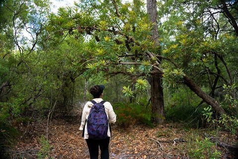 Pack-free Camping: Lake McKenzie Central Hike - 2 Days - Phillip Island Accommodation 1