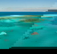 Great Barrier Reef Dive and Snorkel Cruise from Mission Beach - Phillip Island Accommodation
