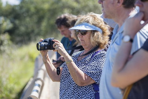 Townsville City Sightseeing Tour - Phillip Island Accommodation 1