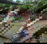 Hartley's Crocodile Adventures Day Trip from Cairns - Phillip Island Accommodation