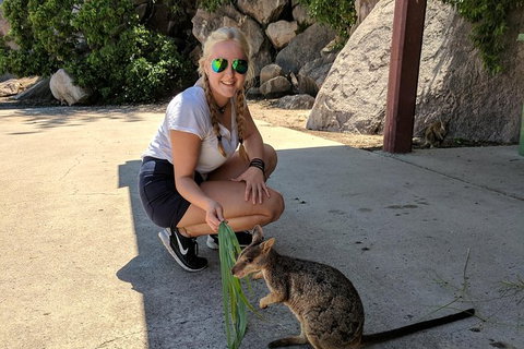 Magnetic Island Tour: Maggie Comprehensive - Phillip Island Accommodation 9