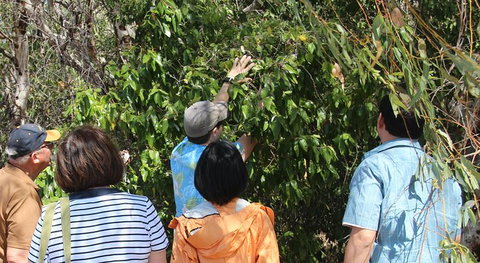 Magnetic Island Tour: Maggie Comprehensive - Phillip Island Accommodation 6