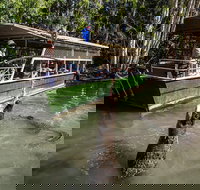 Hartley's Crocodile Adventures Day Trip from Palm Cove - Phillip Island Accommodation