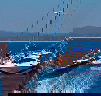 Blue Dolphin Exclusive Whale Watch Encounters - Phillip Island Accommodation