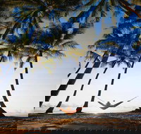 Port Douglas and Hartley's Crocodile Adventure Day Trip from Cairns - Phillip Island Accommodation