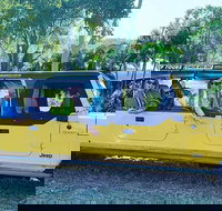 3.5 hour Eco Tour - Phillip Island Accommodation