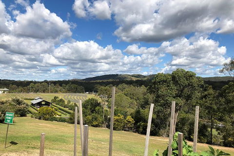 Sirromet Winery All Inclusive Lunch @ Lurleens, Tour, Tastings And Transfers - Phillip Island Accommodation 4