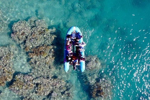 Glass-bottom Boat Tour With Whitehaven Beach - Phillip Island Accommodation 0