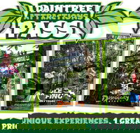 Daintree Atttractions Pass The Best of the Daintree in a Day - Phillip Island Accommodation