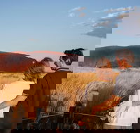 Uluru Ayers Rock Sunset with Outback Barbecue Dinner and Star Tour - Phillip Island Accommodation