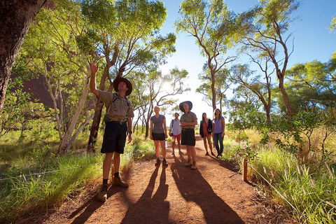Uluru Small Group Tour Including Sunset - Phillip Island Accommodation 5