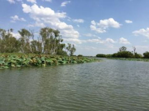 1 Day Corroboree Billabong Wetland Experience Including 2.5 Hour Cruise + Lunch - Phillip Island Accommodation 4