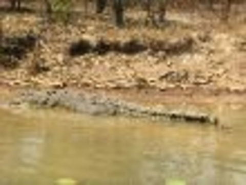 1 Day Corroboree Billabong Wetland Experience Including 2.5 Hour Cruise + Lunch - Phillip Island Accommodation 6