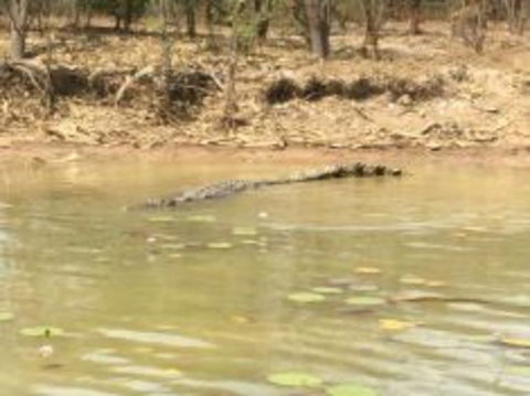 1 Day Corroboree Billabong Wetland Experience Including 2.5 Hour Cruise + Lunch - Phillip Island Accommodation 5