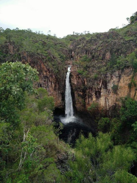 Small-Group Litchfield National Park Day Trip From Darwin - Phillip Island Accommodation 5