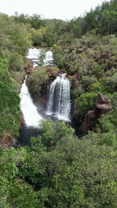 Small-Group Litchfield National Park Day Trip From Darwin - Phillip Island Accommodation 7