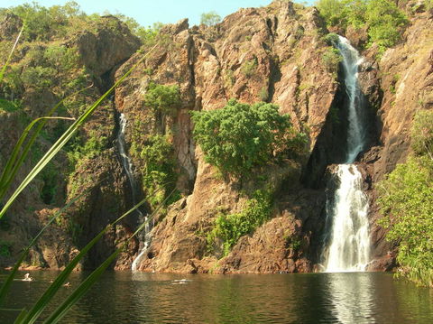 Small-Group Litchfield National Park Day Trip From Darwin - Phillip Island Accommodation 15