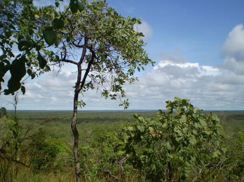 Small-Group Litchfield National Park Day Trip From Darwin - Phillip Island Accommodation 8
