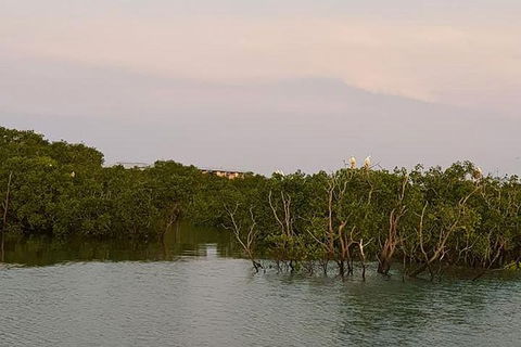 1-Hour Darwin Harbour Highlights Cruise - Phillip Island Accommodation 7