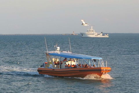 1-Hour Darwin Harbour Highlights Cruise - Phillip Island Accommodation 2
