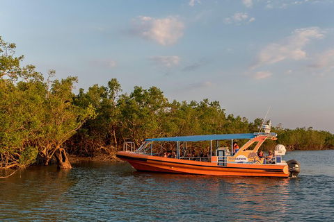 1-Hour Darwin Harbour Highlights Cruise - Phillip Island Accommodation 3