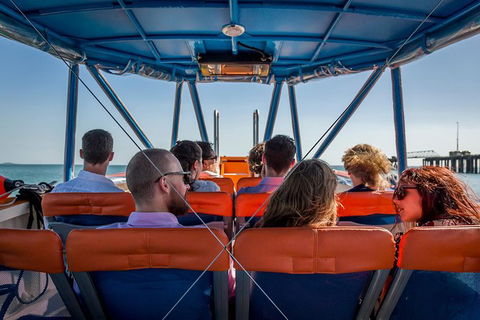 1-Hour Darwin Harbour Highlights Cruise - Phillip Island Accommodation 6