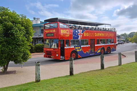 Darwin Shore Excursion: Hop-on Hop-off Bus Tour - Phillip Island Accommodation 0