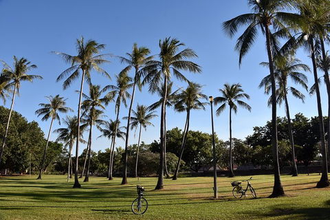 Darwin Shore Excursion: Hop-on Hop-off Bus Tour - Phillip Island Accommodation 11