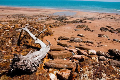 Darwin Hop-on Hop-off Bus Tour - Phillip Island Accommodation 5