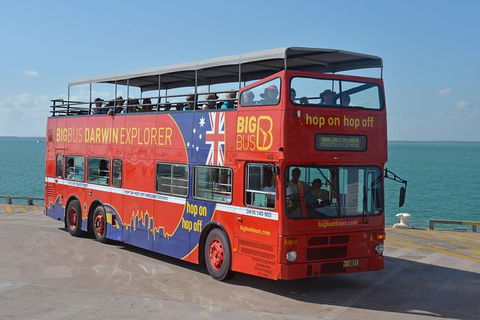 Darwin Hop-on Hop-off Bus Tour - Phillip Island Accommodation 2