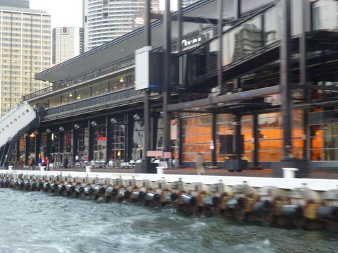 Sydney Harbour Hop-on Hop-off Cruise - Phillip Island Accommodation 10