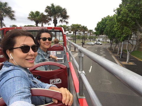 Sydney Combo: Hop-On Hop-Off Harbor Cruise And Hop-On Hop-Off City Bus Tour - Phillip Island Accommodation 21